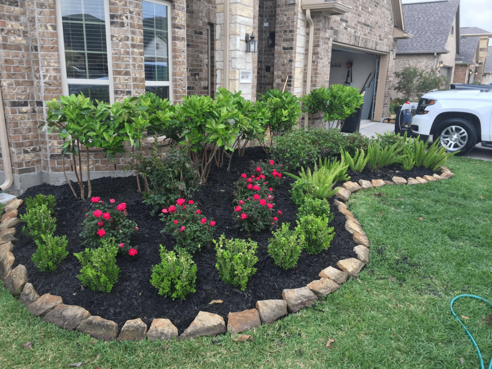 Fresh flower bed with roses and stone border
