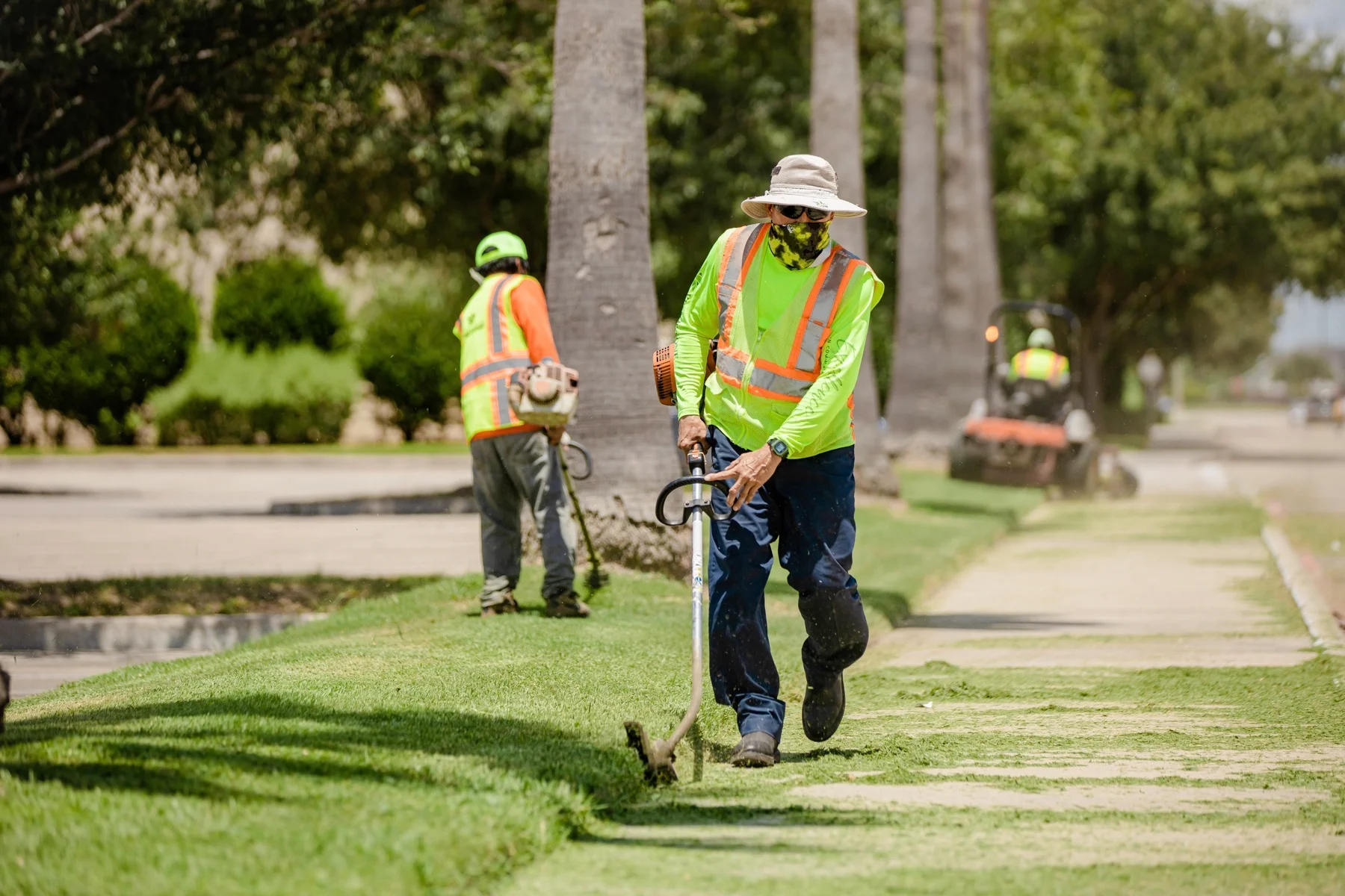 Landscaper carefully planting